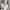 New Balance Sportswear Sneakers Pria white navy photo 2