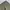 Carhartt Vintage Y2K Short Pria green photo 3