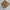 Carhartt Vintage Y2K Short Pria brown photo 5