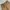 Carhartt Vintage Y2K Short Pria brown photo 4
