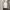 ZARA Minimalist Casual Crop top Wanita white photo 4