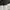 ZARA Minimalist Casual Crop top Wanita white photo 5