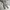 Fieldcore Gorpcore Sportswear Tracksuit Pria tan cream photo 1