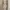 Casual Casual dress Wanita cream photo 1