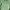Giordano Sportswear Hoody Wanita Green