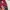 Montbell Gorpcore Sportswear Tracksuit Pria burgundy photo 6