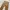 Beauty & Youth United Arrows Vintage Streetwear Jeans Pria tan photo 4