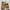 Beauty & Youth United Arrows Vintage Streetwear Jeans Pria Tan