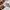 Beauty & Youth United Arrows Vintage Streetwear Jeans Pria tan photo 7