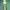 Luxury Minimalist Wanita green photo 2