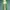 Luxury Minimalist Wanita Green