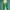Luxury Minimalist Wanita green photo 3