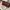 Charles And Keith Luxury Clutch Wanita Burgundy Brown