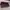 Charles and Keith Luxury Clutch Wanita burgundy brown photo 5