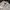 Stussy Vintage Y2K Formal shirt Pria white tan photo 2