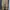 Alpha Industries Vintage Casual Casual pants Pria khaki photo 1