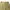 Alpha Industries Vintage Casual Casual pants Pria khaki photo 6