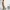 Alpha Industries original cargo military longpants wide photo 1