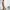 Alpha Industries Vintage Casual Casual Pants Pria Khaki