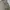 Element Minimalist Casual Harrington jacket Pria tan photo 4