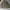 Element Minimalist Casual Harrington jacket Pria tan photo 2