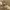 Carhartt Streetwear Y2K T-shirt Pria tan photo 5