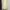 Minimalist Casual Skirt Wanita cream yellow photo 1