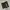 Adidas Sportswear Short Pria black photo 2