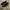 Bottega Veneta Luxury Flat Wanita black photo 1