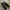 Bottega Veneta Luxury Flat Wanita black photo 5