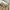 Columbia Gorpcore Casual Tracksuit Pria tan cream photo 5