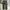 Columbia Streetwear Gorpcore Tracksuit Pria green photo 3
