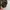 Columbia Streetwear Gorpcore Tracksuit Pria green photo 6