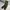 Columbia Streetwear Gorpcore Tracksuit Pria green photo 1