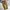 Fieldcore Gorpcore Biker Tracksuit Pria brown photo 4