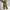 Fieldcore Gorpcore Biker Tracksuit Pria brown photo 2