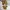 Fieldcore Streetwear Gorpcore Tracksuit Pria brown photo 1