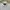Good American Streetwear Casual Casual shirt Pria multicolor photo 3