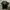 Levi's Streetwear T-shirt Pria black photo 1