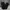 Gramicci Streetwear Y2K Casual pants Pria black photo 5