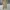 Uniqlo Minimalist Casual Formal pants Pria khaki photo 1