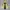 Eider Casual Windbreaker Pria yellow photo 6
