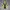 Eider Casual Windbreaker Pria yellow photo 2