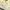 Vintage Coquette Midi dress Wanita yellow photo 3