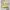 Vintage Coquette Midi dress Wanita yellow photo 1