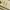Vintage Coquette Midi dress Wanita yellow photo 2