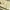 Vintage Coquette Midi dress Wanita yellow photo 5