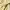 Vintage Coquette Midi dress Wanita yellow photo 4