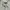 Uniqlo Streetwear Y2K Casual shirt Pria gray photo 3