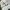 Axes Femme Vintage Minimalist Sweatshirt Wanita green photo 5